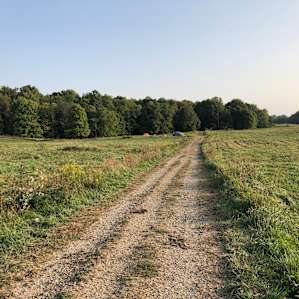 Road from the farmhouse to site 4