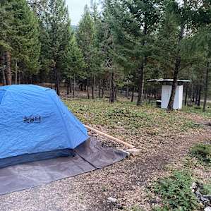 Pine Needle Farm Site 2