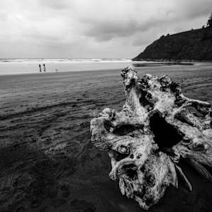Could spend hours on the beach watching the waves role in.