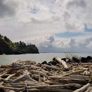 Cape Disappointment Campground