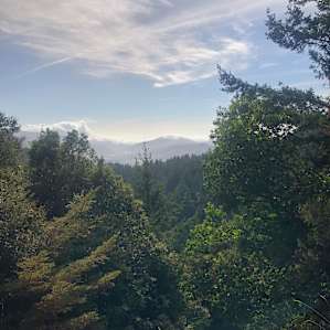A little hike up the property and you get a view of the ocean!