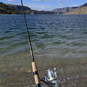 Fish on! 🐟