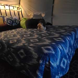 The queen sized bed
