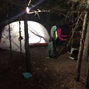 Woodsy Camping