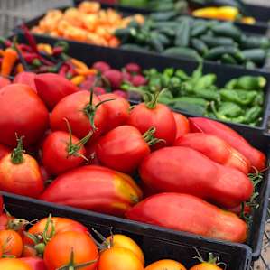 These beautiful veggies, along with some fresh herbs and nasturiams (abobe) made an incredible salad that night with fresh mozzerella!