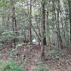 Private Mountain Primitive Camp