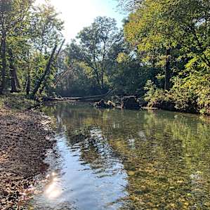 Camping on the Crystal Clear Creek!