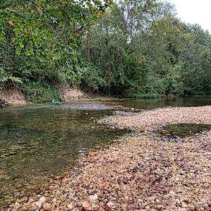 Camping on the Crystal Clear Creek!