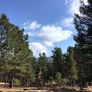 Sunshine Mountain