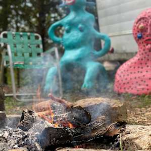 Creature Camp