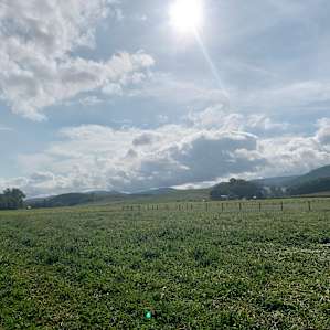 Mountain View from the Pasture