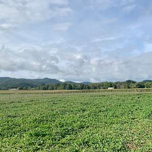 Mountain View from the Pasture