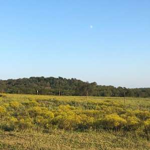Beautiful pasture at entry gate