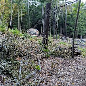 so much of lost natural habitat...