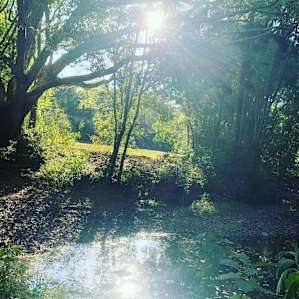 Waterhole
