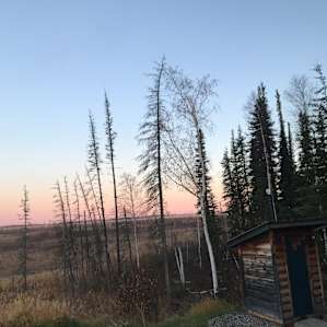 The Coop Cabin