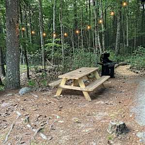 Catskills Glamping Cabin