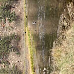 A small portion of the river, plenty of bird watching in this area.