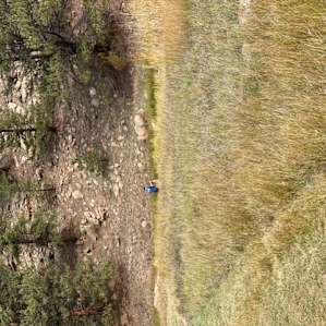 Fly fishing on the river. Edge is mowed for easy access to the water.