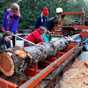 Helping out at the sawmill