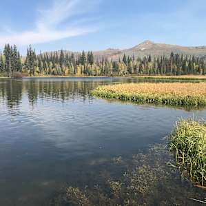 Nearby Silver Lake