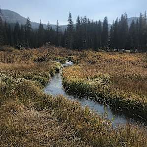 Nearby Silver Lake