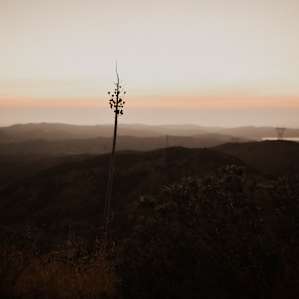 Private Mountain Retreat - RV Only