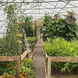 The Gathering at Good Root Growers