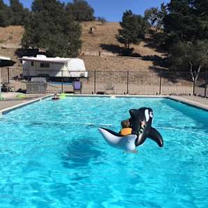 The pool has a cover so it wasn't cold.