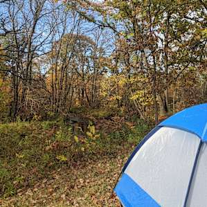 The Camps at The Vineyard