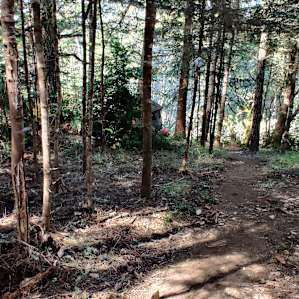 Slug Acres - Ocean view site