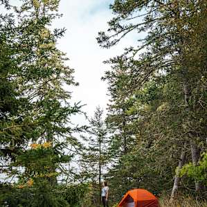 Mornings at the campsite.