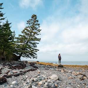 Checking out Mount Desert Narrows!