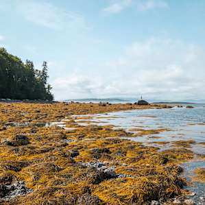 Rock scrambling along the coast.