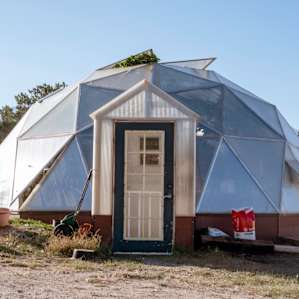 The greenhouse