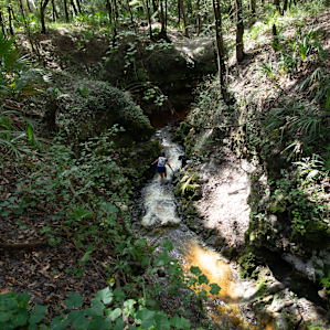Disappearing creek