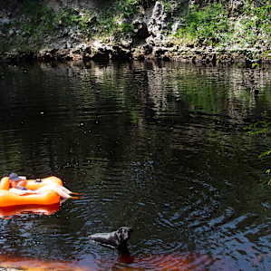 Lounging in the river