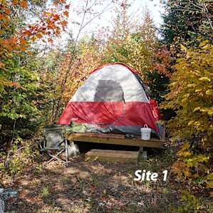 Site 1