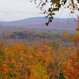Moose Ridge Wild