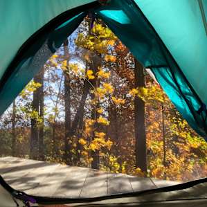 The site ! My little home ⛺️❤️