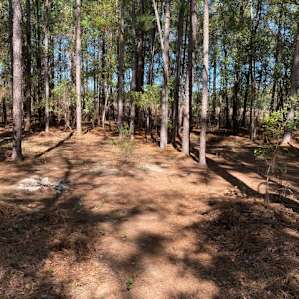 They just opened up this new site. Very quiet, very private, very comfortable. Could easily fit about 3 tents here. Car was only about 25 ft. away. Nice job guys!