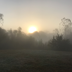 misty morning