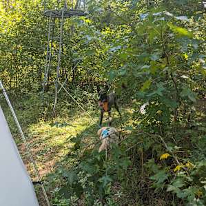 A Homestead Camping Experience