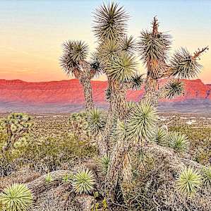 Lake Mead Overlook