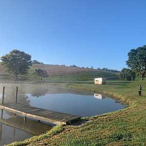 Views of woods, pond, and sunrise