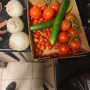 She sent me back with some fresh tomatos, onions, and cucumbers .. my future salsa is gonna be yummy!