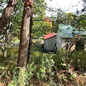 Organic Farm in the Pocono Mts.