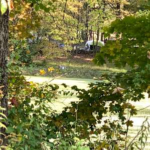 Organic Farm in the Pocono Mts.