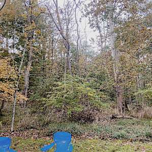 Creekside Camping 1