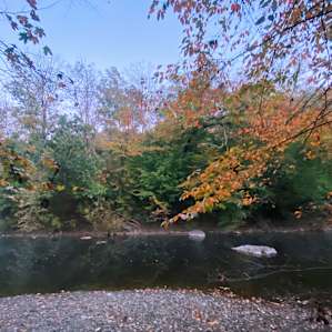 Creekside Camping 1